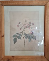 Bild zarte Blumen 2 33x40cm 25.00